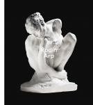 Buchcover für Rodin / Arp