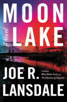 book cover for Moon Lake