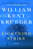book cover for Lightning Strike