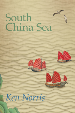 book cover for South China Sea