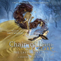 book cover for Chain of Iron