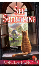 book cover for See Something