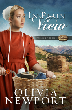 book cover for In Plain View