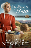 book cover for In Plain View
