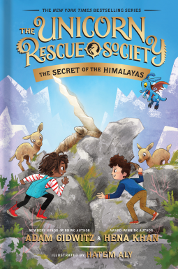 book cover for The Secret of the Himalayas