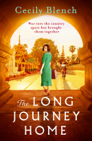 book cover for The Long Journey Home