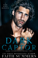 book cover for Dark Captor