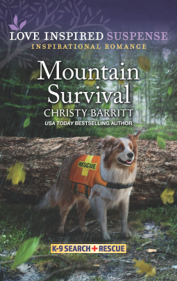 book cover for Mountain Survival