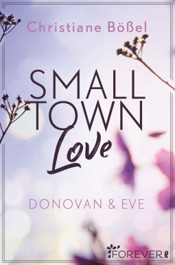 Buchcover für Small Town Love