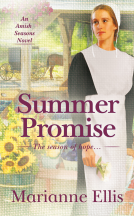 book cover for Summer Promise