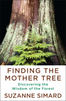 book cover for Finding the Mother Tree