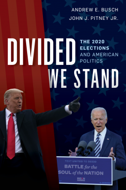 book cover for Divided We Stand