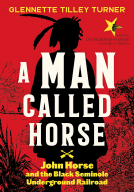 book cover for A Man Called Horse