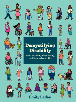 book cover for Demystifying Disability