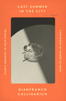 book cover for Last Summer in the City