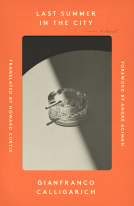 book cover for Last Summer in the City