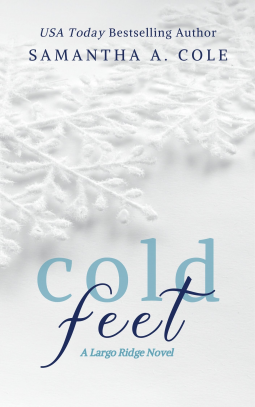 book cover for Cold Feet
