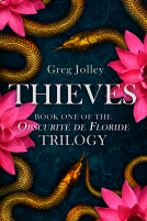 book cover for Thieves
