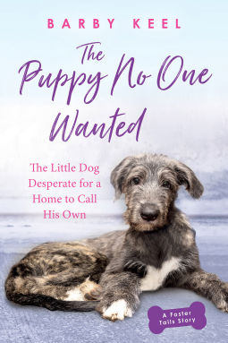book cover for The Puppy No One Wanted