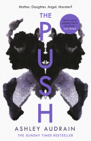 book cover for The Push