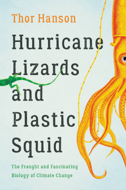book cover for Hurricane Lizards and Plastic Squid