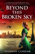 book cover for Beyond This Broken Sky