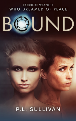 book cover for Bound