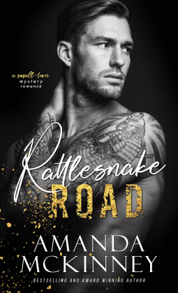 book cover for Rattlesnake Road