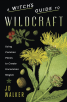 book cover for A Witch's Guide to Wildcraft