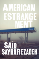 book cover for American Estrangement
