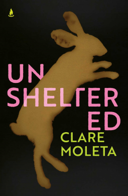 book cover for Unsheltered