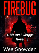 book cover for FIREBUG