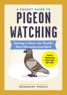 book cover for A Pocket Guide to Pigeon Watching