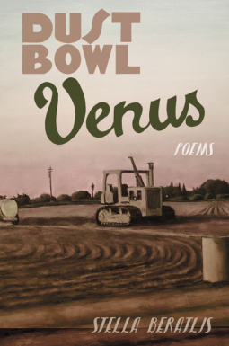 book cover for Dust Bowl Venus
