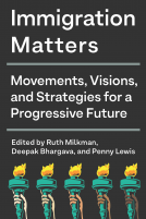 book cover for Immigration Matters