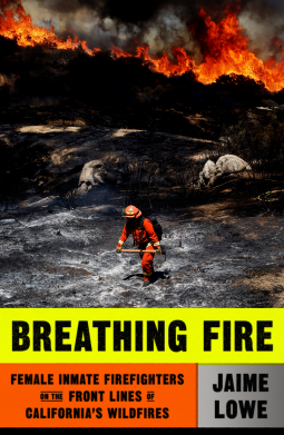 book cover for Breathing Fire