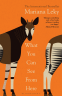 Cover Image: What You Can See From Here