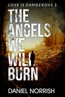 book cover for The Angels We Will Burn