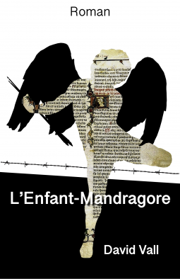 Couverture du livre pour L'Enfant-Mandragore