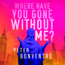 book cover for Where Have You Gone Without Me