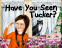 Cover Image: Have You Seen Tucker?