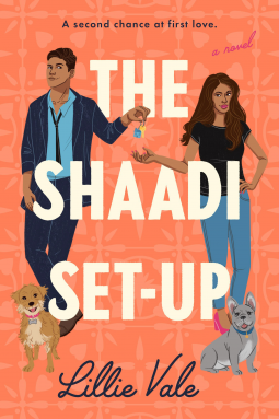 book cover for The Shaadi Set-Up