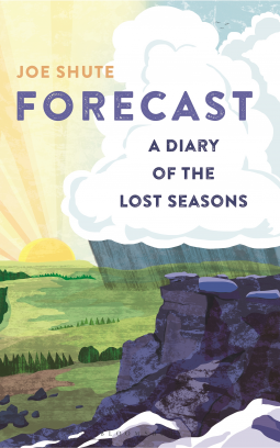 book cover for Forecast