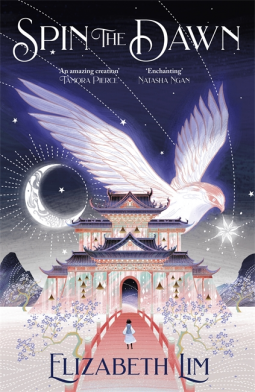 book cover for Spin the Dawn