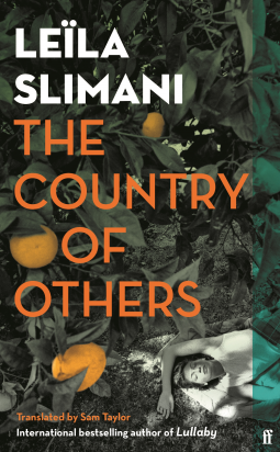book cover for The Country of Others