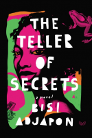 book cover for The Teller of Secrets
