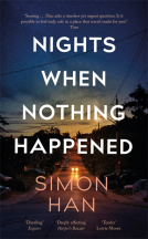 book cover for Nights When Nothing Happened