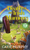 Cover Image: Death of an Irish Mummy
