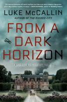 book cover for From a Dark Horizon