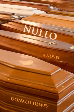 book cover for Nullo